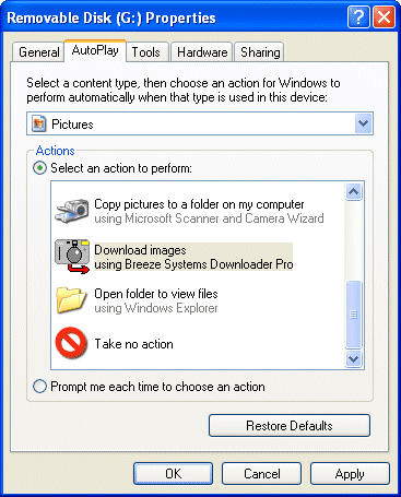 autoplay